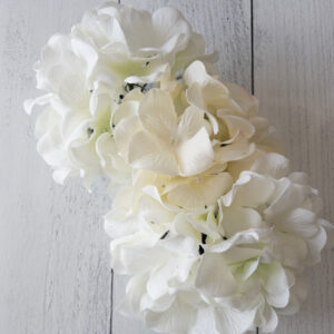 Hydrangea Floral Section