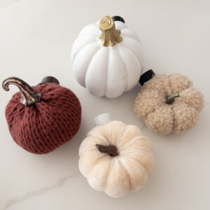 Pumpkin Medley 2